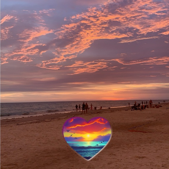 Like for Updates! 🦩🌸🌺 - Picture 2 of 7